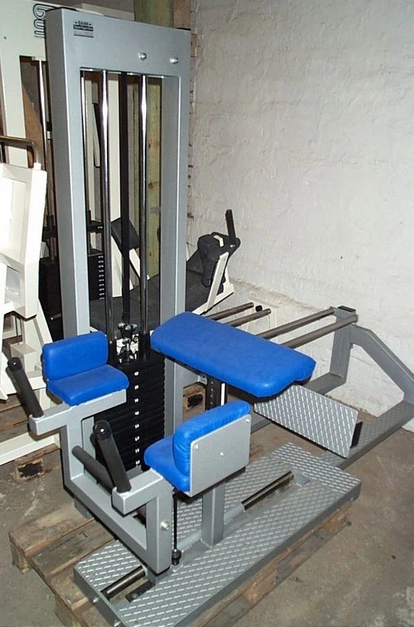 L+K Gluteus radial, Pomaschine, Silber, gebraucht