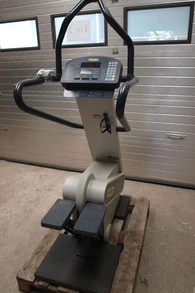 TechnoGym XT Line Stepper - Step XT, gebraucht - geprüfter Zustand, funktionsfähig