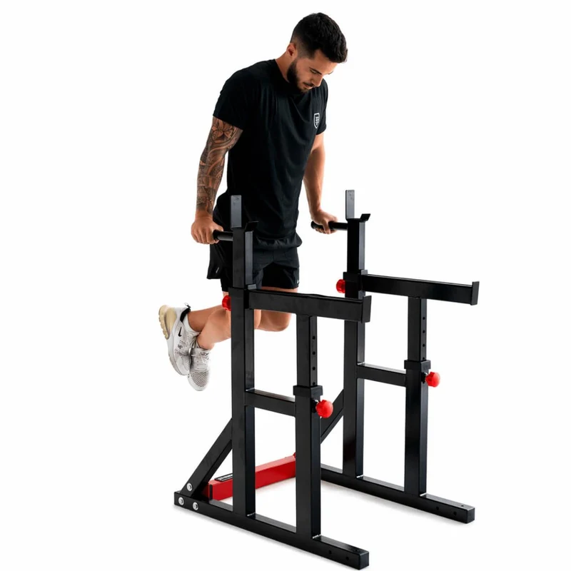 Titanium Strength Squat Rack / Dipstation 280RS