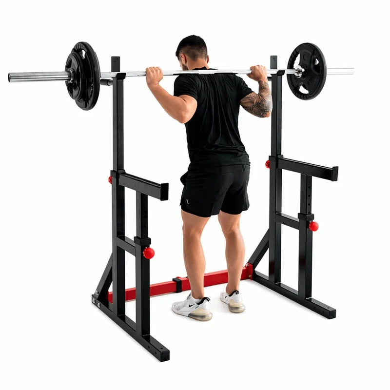 Titanium Strength Squat Rack / Dipstation 280RS