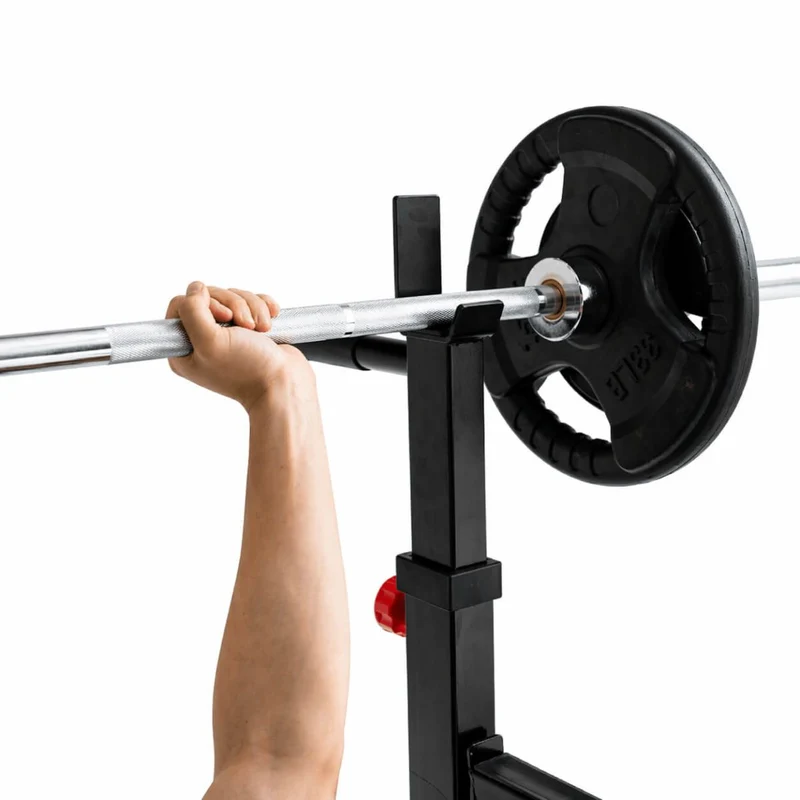 Titanium Strength Squat Rack / Dipstation 280RS