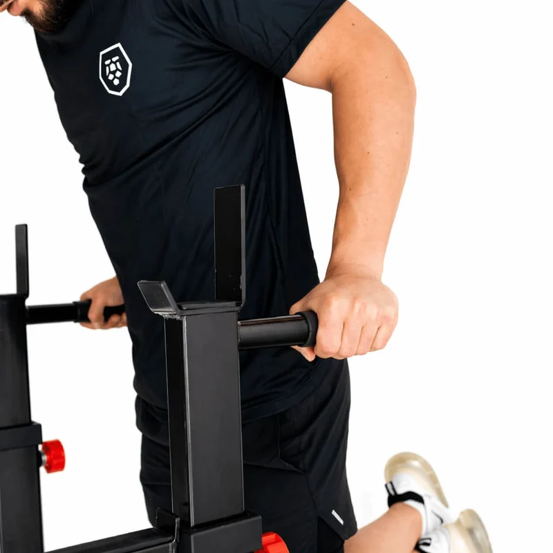 Titanium Strength Squat Rack / Dipstation 280RS