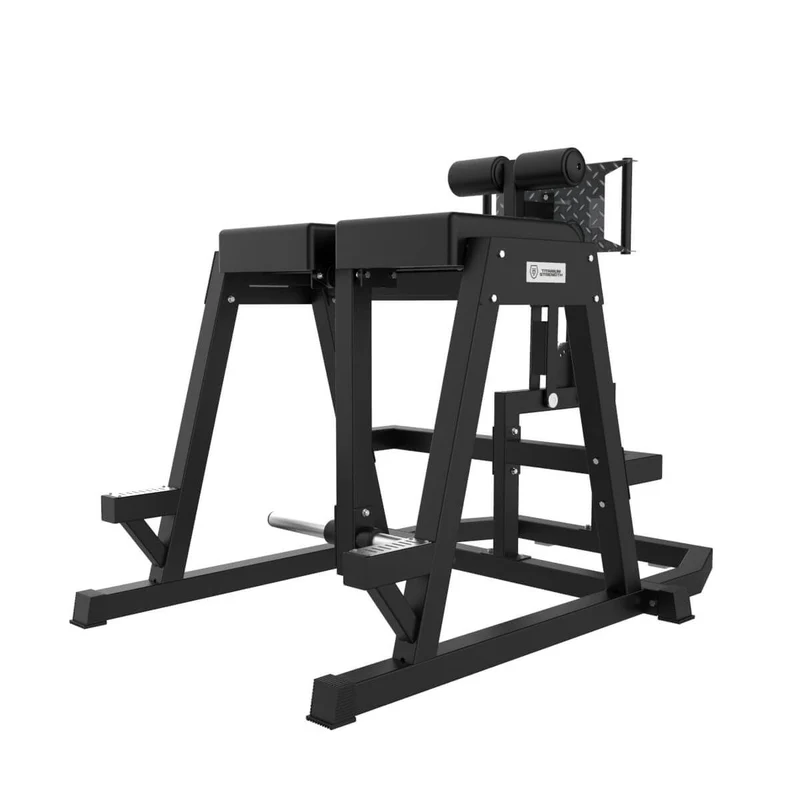 Titanium Strength Elite Series GHD und Reverse Hyperextension (plate loaded) EL-PL66