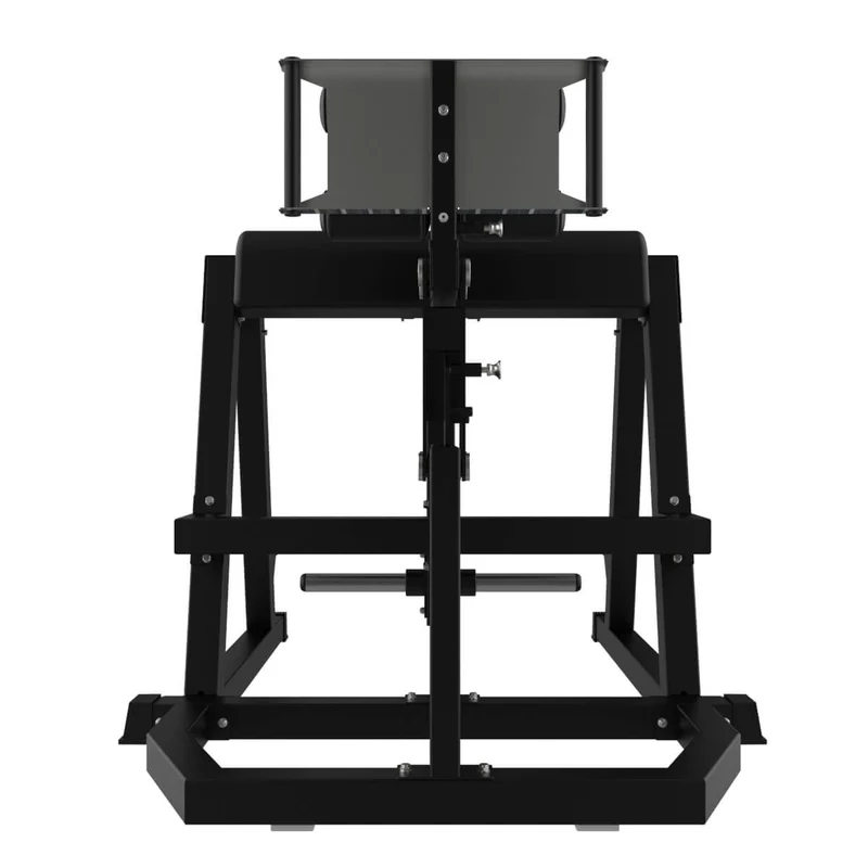 Titanium Strength Elite Series GHD und Reverse Hyperextension (plate loaded) EL-PL66
