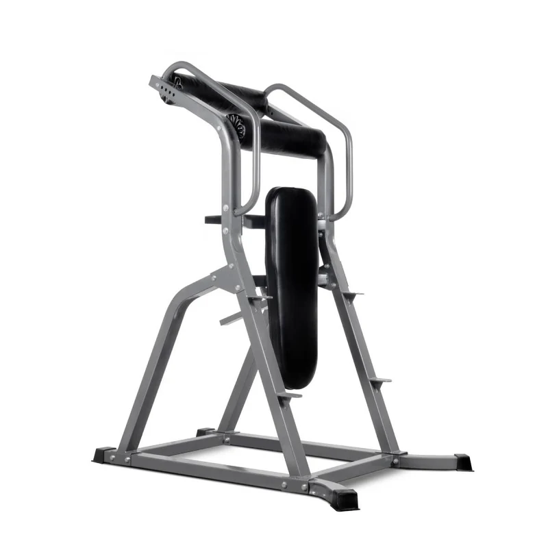 Titanium Strength Vertikaler Bauchtrainer VAB60