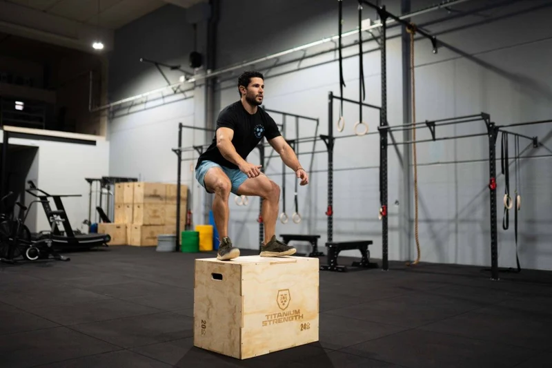 Titanium Strength Plyometrische Box Holz PWX