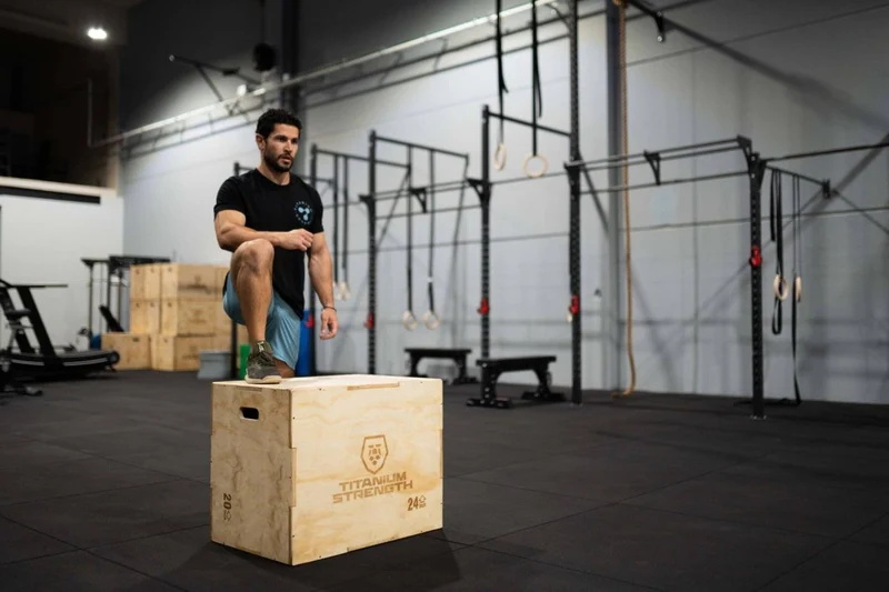 Titanium Strength Plyometrische Box Holz PWX