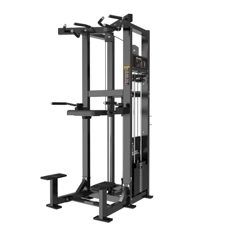Titanium Strength Elite Series RX Klimmzug- und Dipsmaschine (stack loaded) ELRX-S2