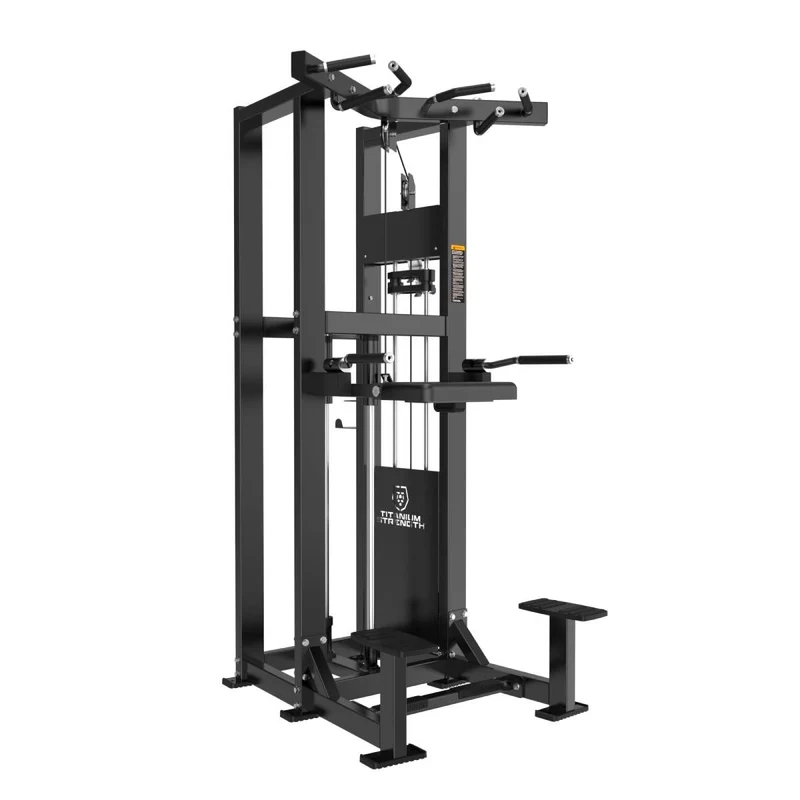 Titanium Strength Elite Series RX Klimmzug- und Dipsmaschine (stack loaded) ELRX-S2
