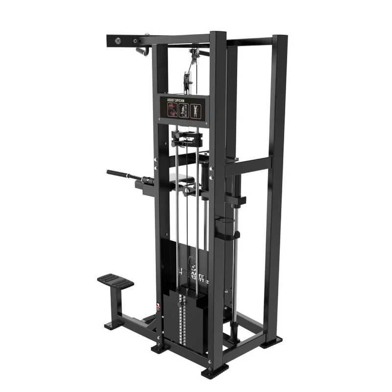 Titanium Strength Elite Series RX Klimmzug- und Dipsmaschine (stack loaded) ELRX-S2