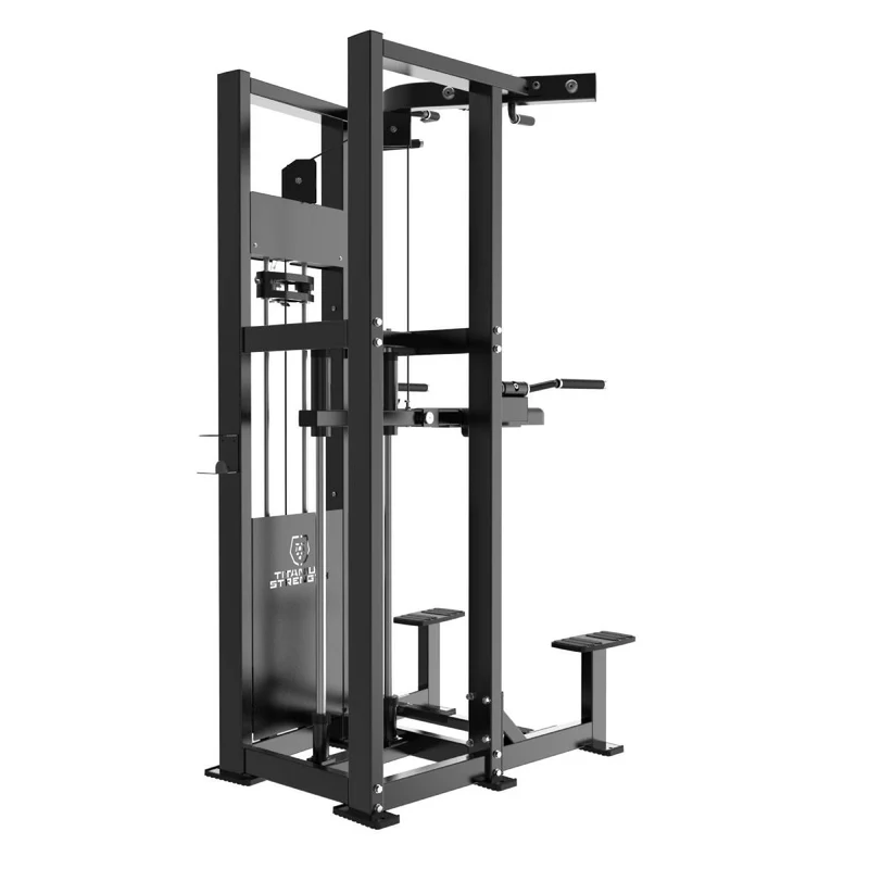 Titanium Strength Elite Series RX Klimmzug- und Dipsmaschine (stack loaded) ELRX-S2