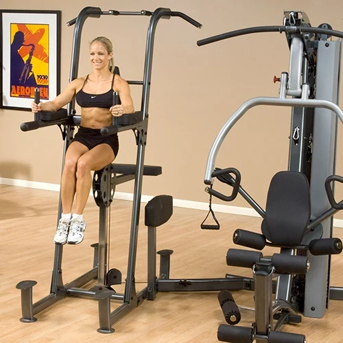 Body-Solid Klimmzug- und Dipmaschine mit Gewichtsunterstützung für Fusion 500/600 FCDWA