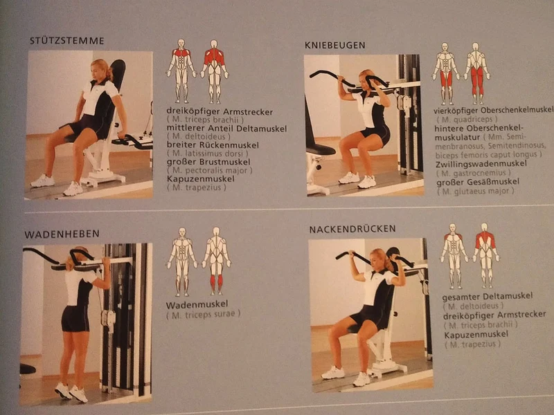 Multitrainer mit verstellbarerTrainingsbank