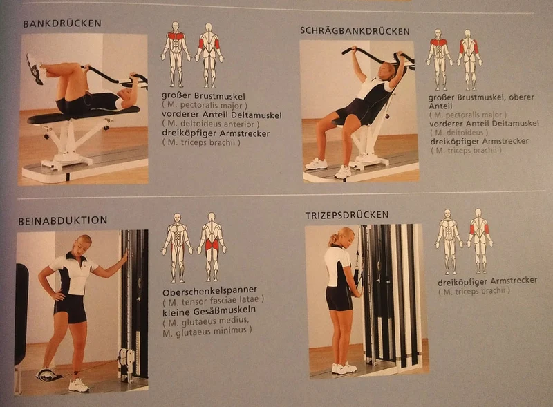 Multitrainer mit verstellbarerTrainingsbank
