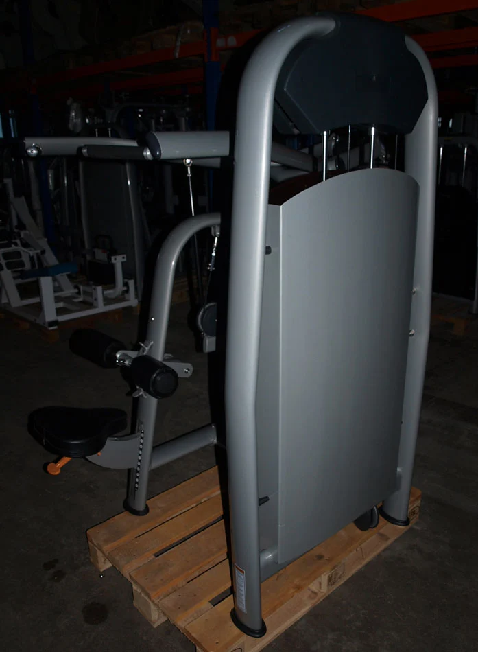 Realleader Latzug / Lat Pull Down, Silber, gebraucht - überholter Zustand
