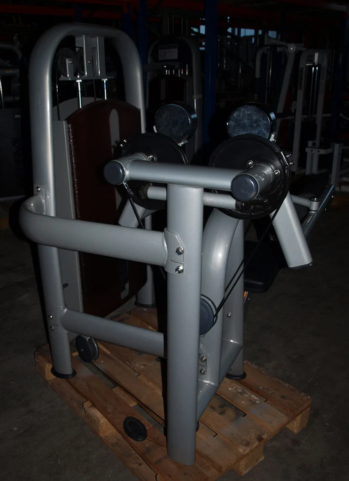 Realleader Seithebe / Schultermaschine / Lateral Raise, Silber, gebraucht - überholter Zustand
