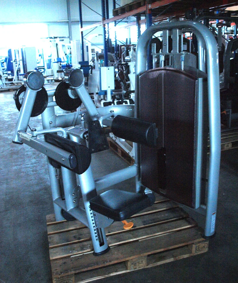 Realleader Seithebe / Schultermaschine / Lateral Raise, Silber, gebraucht - überholter Zustand