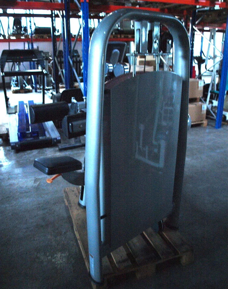 Realleader Seithebe / Schultermaschine / Lateral Raise, Silber, gebraucht - überholter Zustand