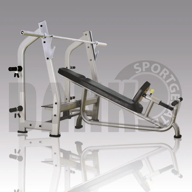 Danksport S-Line Kraftgeräte, Gerätepark mit ca. 22 Fitnessgeräten und Zubehör, Farbe Silber, Polster Braun - Neue Geräte / Ausstellungsgeräte