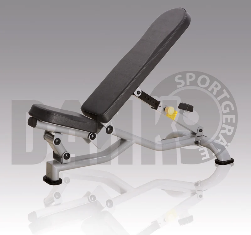 Danksport S-Line Kraftgeräte, Gerätepark mit ca. 22 Fitnessgeräten und Zubehör, Farbe Silber, Polster Braun - Neue Geräte / Ausstellungsgeräte