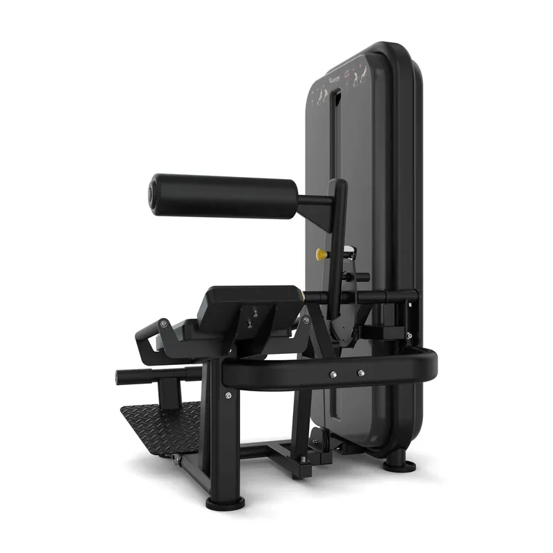 Vision Fitness Rückenstrecker / Bauchmaschine (stack loaded)