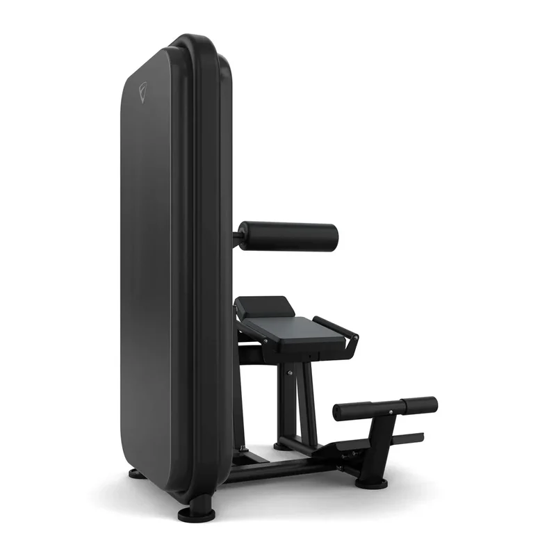 Vision Fitness Rückenstrecker / Bauchmaschine (stack loaded)