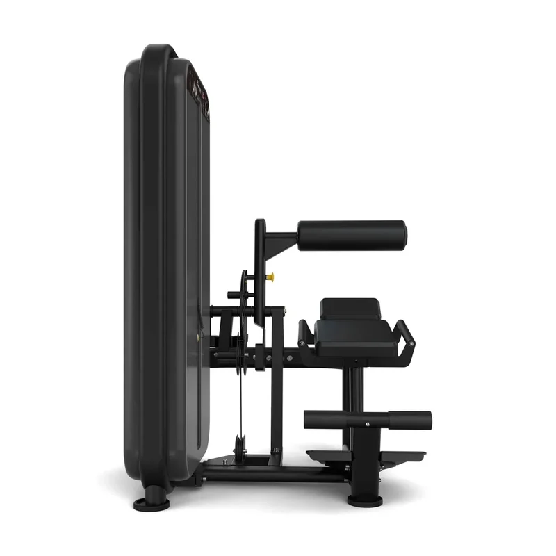 Vision Fitness Rückenstrecker / Bauchmaschine (stack loaded)