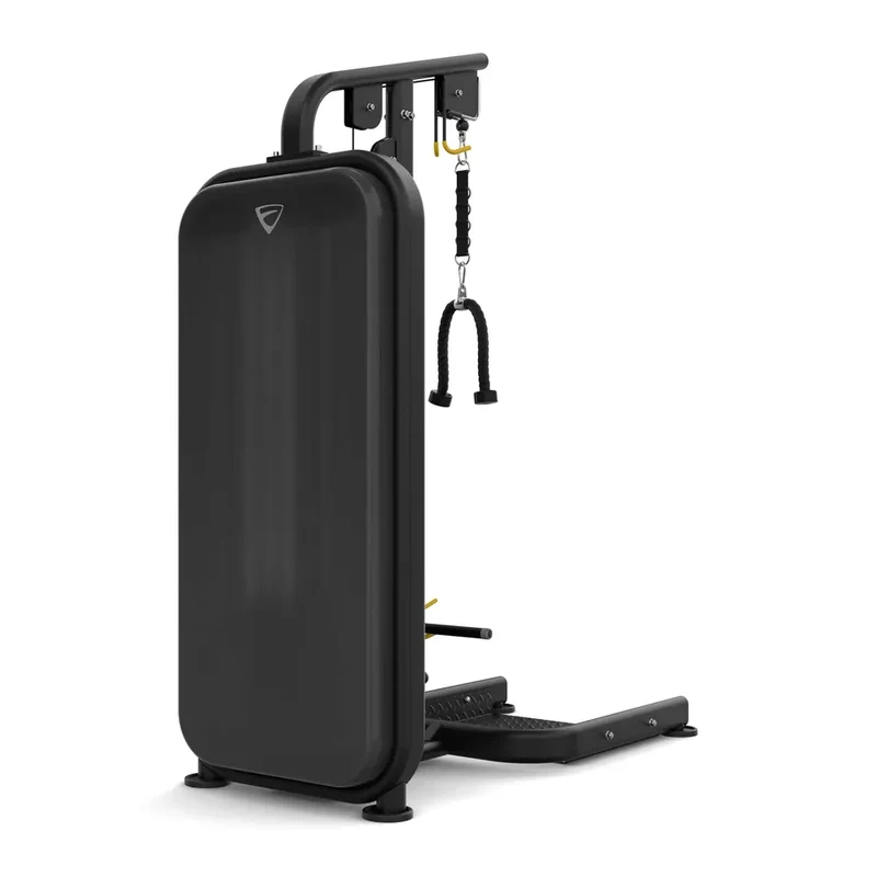 Vision Fitness Bizeps / Trizeps (stack loaded)