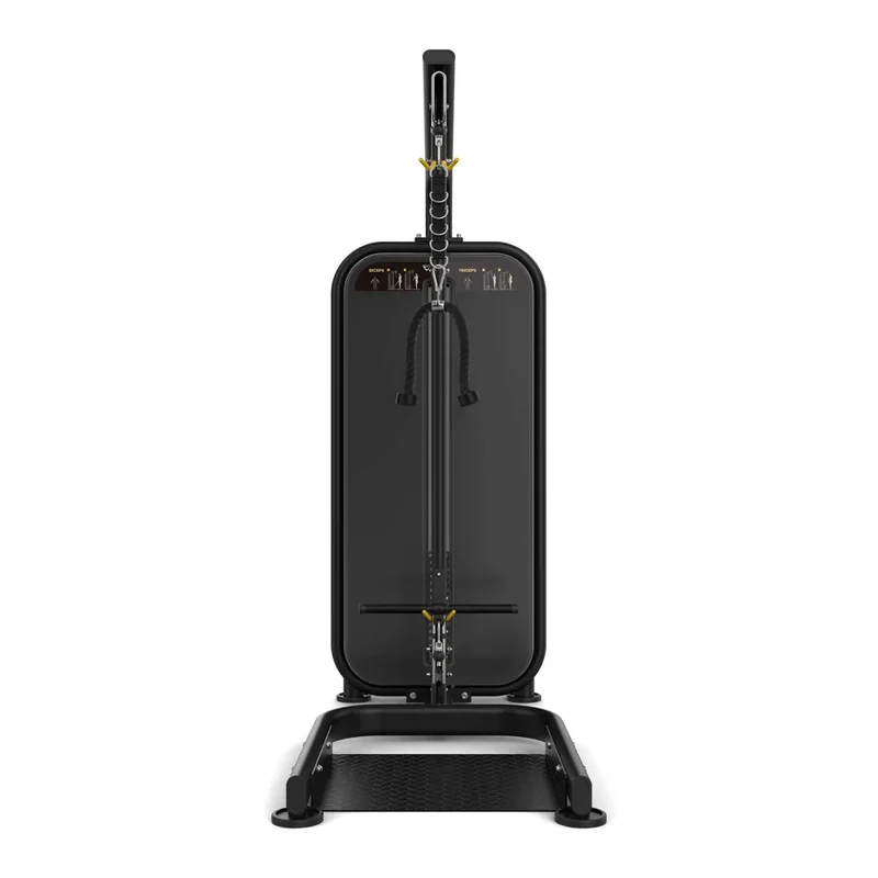 Vision Fitness Bizeps / Trizeps (stack loaded)