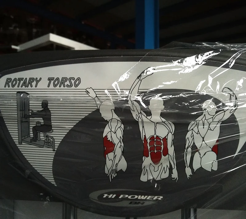 BH Fitness Twister / Rotationsmaschine / Rotary Torso, Silber, Strength Line, gebraucht