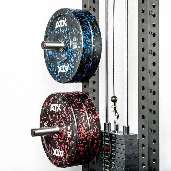 ATX Weight Plate Pins - 50 mm - Paar