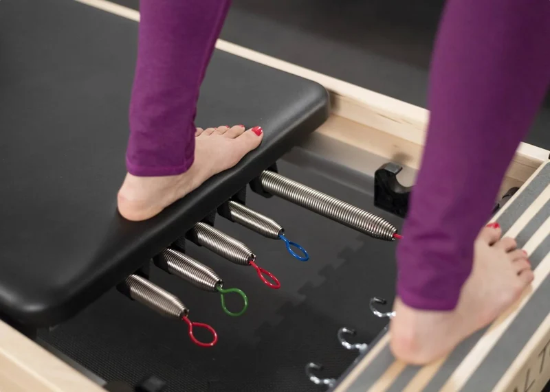 Balanced Body Reformer Signature Springs Feder