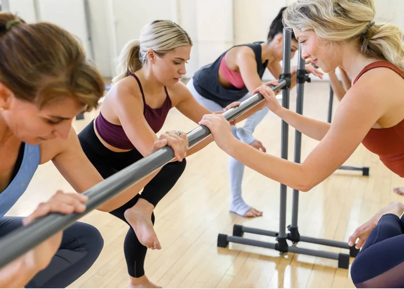 Balanced Body Portable Barre