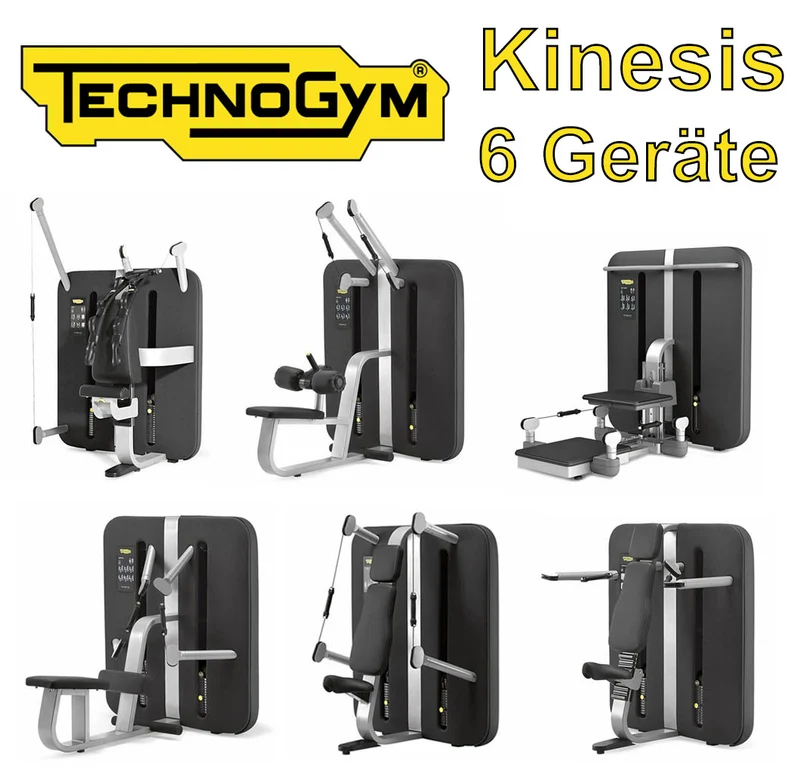 TechnoGym Kinesis Stationen, 6 Kraftgeräte im Set, gebraucht, überholter Zustand
