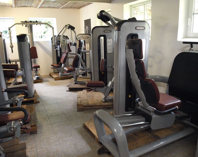 Komplette Fitnessstudio Einrichtung - Gerätepark mit über 45 Kraftgeräten - Danksport S-Line Set mit 45 Fitnessgeräten & Zubehör, Ausstellungsgeräte vergleichbar mit Gym80, Nautilus, Star Trac oder TechnoGym