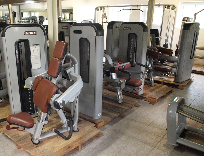 Komplette Fitnessstudio Einrichtung - Gerätepark mit über 45 Kraftgeräten - Danksport S-Line Set mit 45 Fitnessgeräten & Zubehör, Ausstellungsgeräte vergleichbar mit Gym80, Nautilus, Star Trac oder TechnoGym