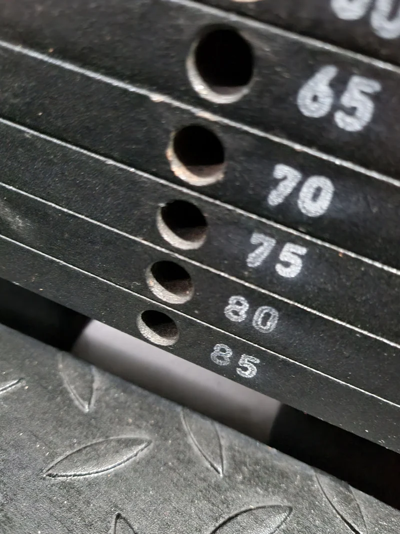 Gym80 Sygnum, Twistermaschine, Rotationsmaschine, Rahmen Silber, gebraucht - überholter Zustand