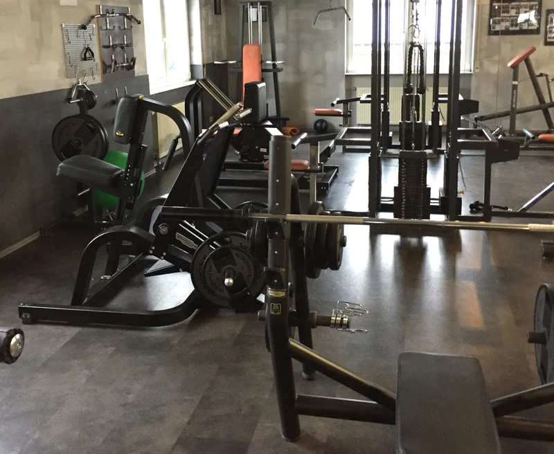 TechnoGym Pure Strength Set, 6 Plate loaded Kraftgeräte, Baujahr 2014, sehr junge gebrauchte Fitnessgeräte - weitere Geräte auf Anfrage