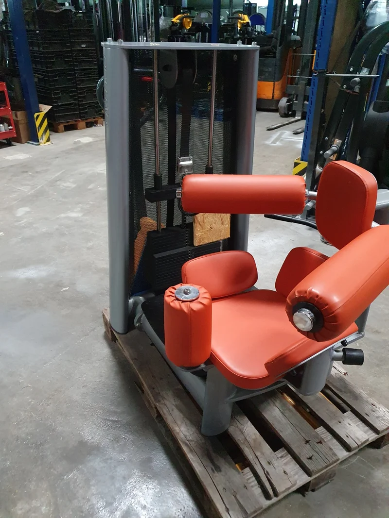 Gym80 Sygnum Einzelgeräte z.B. Kabelzug, Beinstrecker, Latzug, Brustpresse, Gluteus, Seilzug, Drückerbank, Bänke verstellbar Basic, Rückenstrecker etc, gebraucht