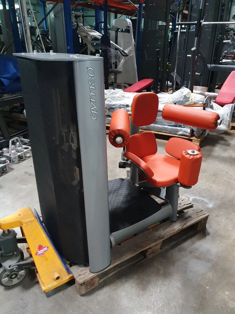 Gym80 Sygnum Einzelgeräte z.B. Kabelzug, Beinstrecker, Latzug, Brustpresse, Gluteus, Seilzug, Drückerbank, Bänke verstellbar Basic, Rückenstrecker etc, gebraucht