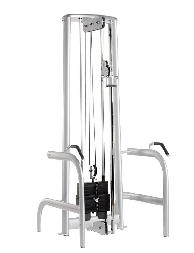 Gym80 Sygnum Einzelgeräte z.B. Kabelzug, Beinstrecker, Latzug, Brustpresse, Gluteus, Seilzug, Drückerbank, Bänke verstellbar Basic, Rückenstrecker etc, gebraucht