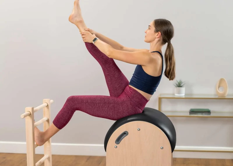 Balanced Body Ladder Barrel