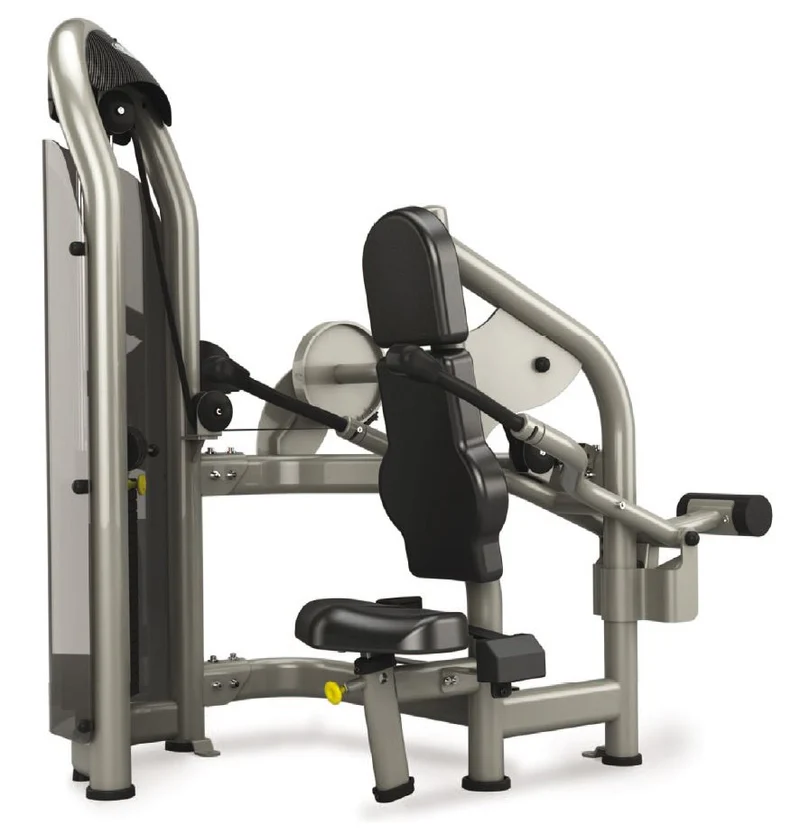Matrix Aura G3-S42 Trizepsmaschine, Dips, Armstrecker, Farbe Silber, gebraucht - überholter Zustand