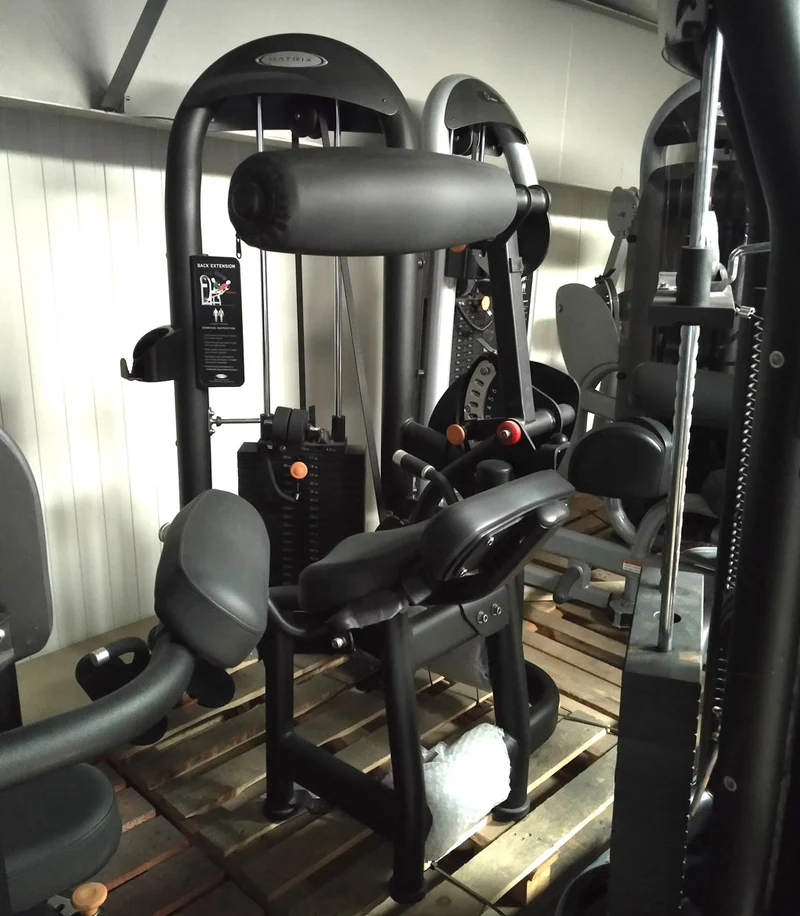Matrix Aura G3-S52 Rückenstrecker, Hyperextensionmaschine, Farbe Silber und Schwarz verfügbar, gebraucht - überholter Zustand