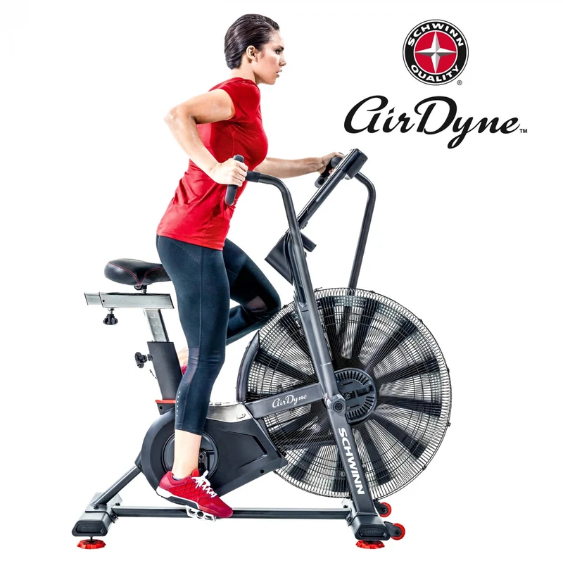 Schwinn Ergometer Airdyne AD8