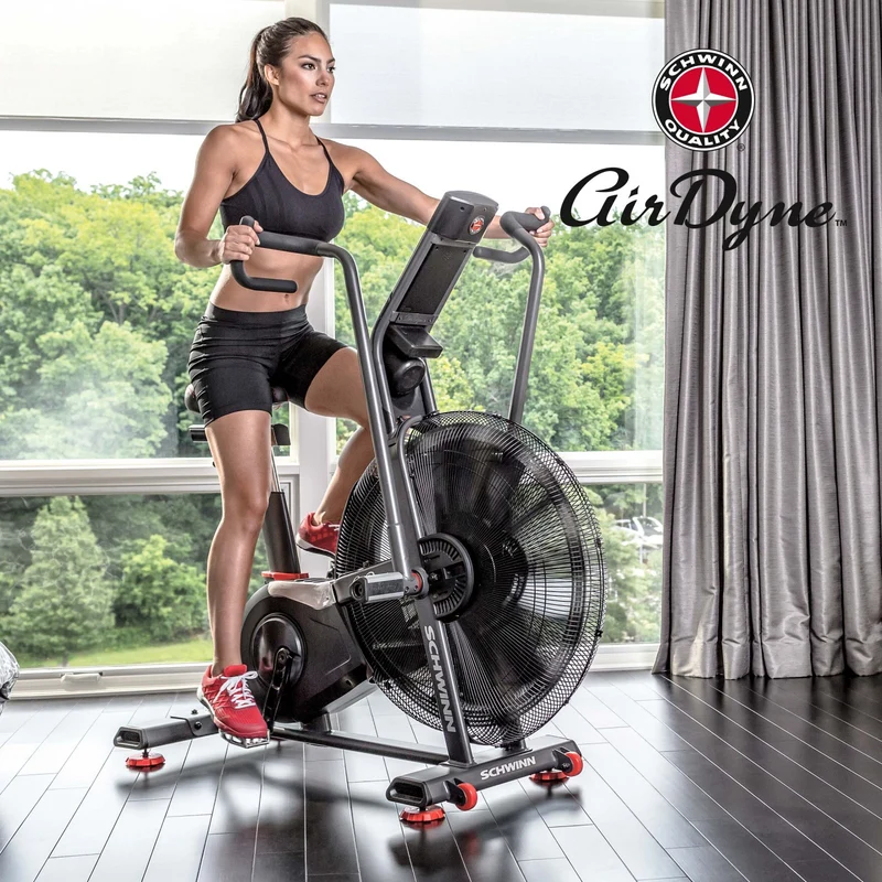 Schwinn Ergometer Airdyne AD8