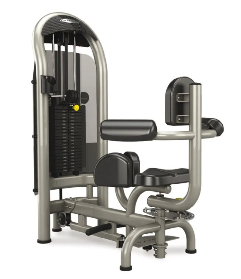 Matrix Aura G3-S55 Rotationsmaschine, Rotary Torso, Twister, Farbe Silber und Schwarz verfügbar, gebraucht - überholter Zustand