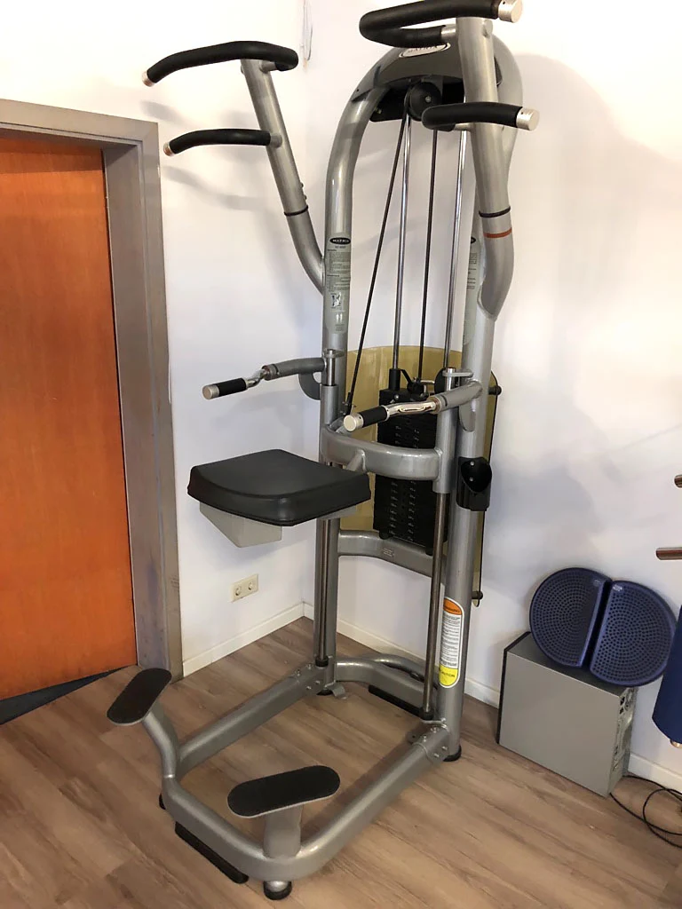Matrix Aura G3-S60 Dip/Chin, Dip-Klimmzugmaschine mit Gewichtsunterstützung, Farbe Silber, gebraucht - überholter Zustand