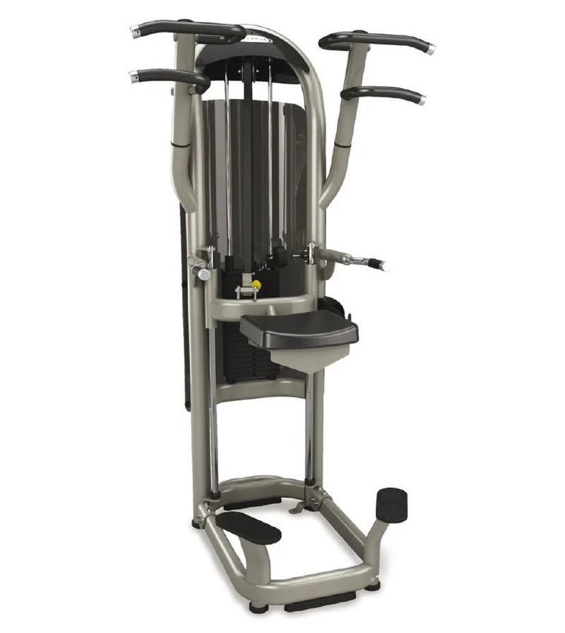 Matrix Aura G3-S60 Dip/Chin, Dip-Klimmzugmaschine mit Gewichtsunterstützung, Farbe Silber, gebraucht - überholter Zustand