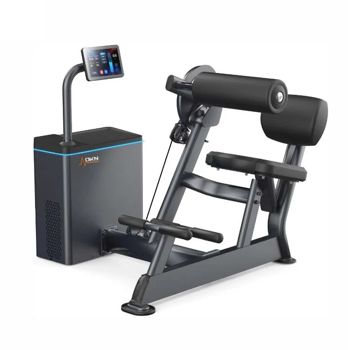 DKN Technology Smart Bauchmaschine / Rückenstrecker